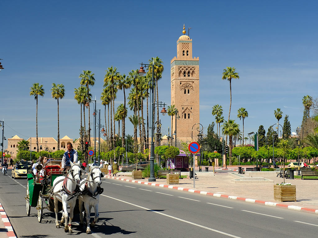 Marrakech calèche et dromadaire
