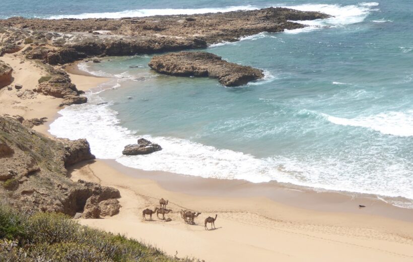 Essaouira: Épopée Familiale entre Sable et Azur