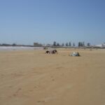 Gallery Thumbnail 1