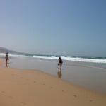 Gallery Thumbnail 2